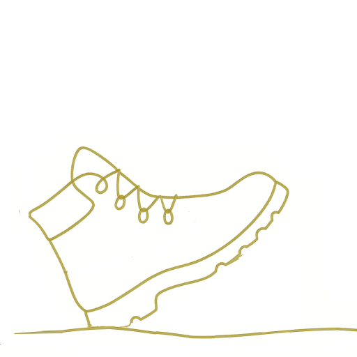 schoen aan chatgpt